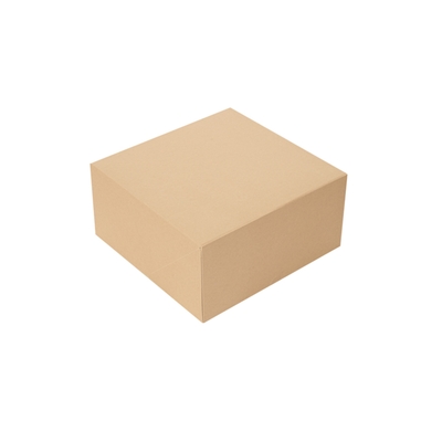 Cateringdoos kraft 24x24x12cm 