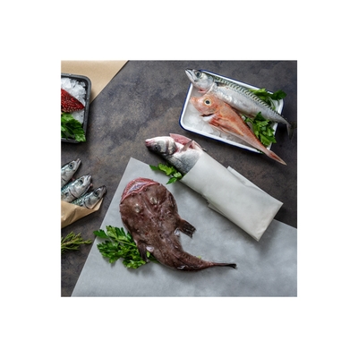 Papier vetwerend wit PFAS-vrij 38x54cm 60gr 20kg