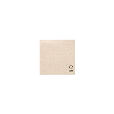 Dp Servet Eco Recyclé - 20 x 20 cm - 2400 pièces - NATUREL