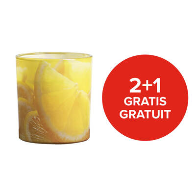Citronella Candle In Glass 6pcs